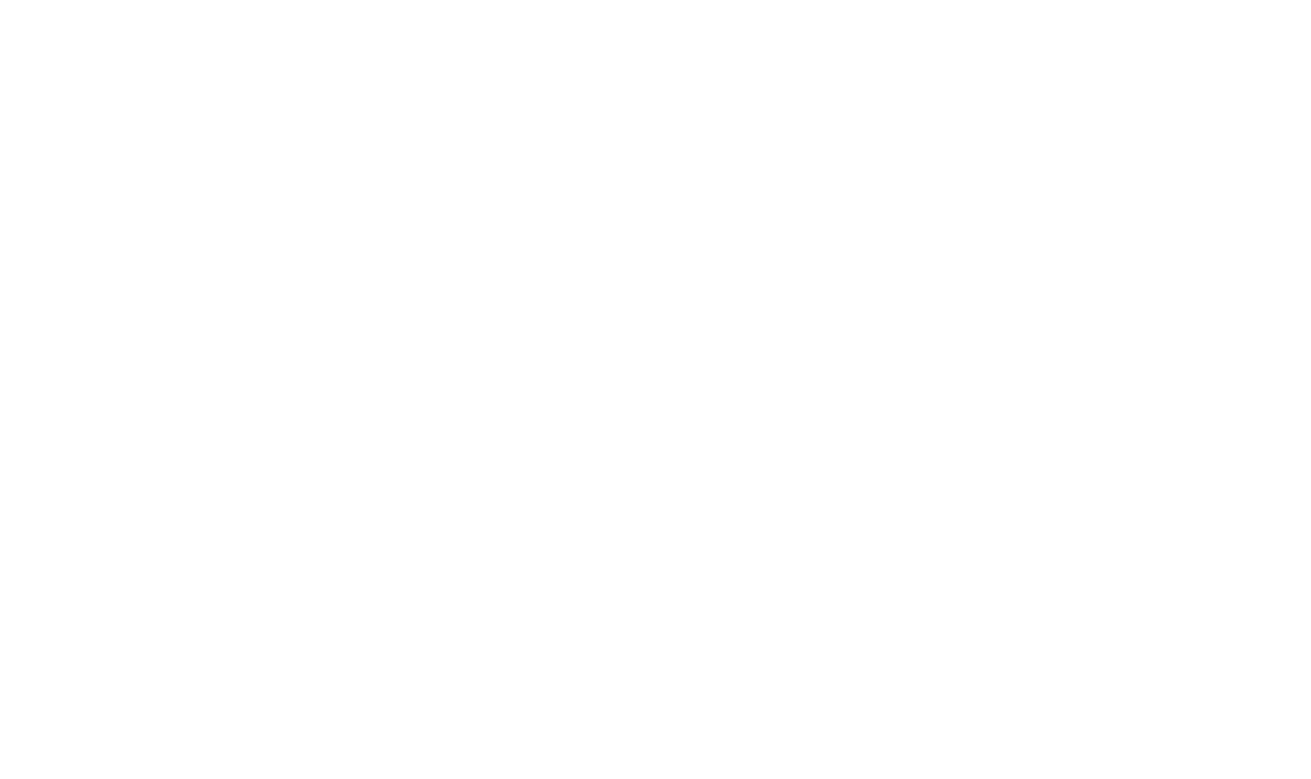 In Guns We Trust